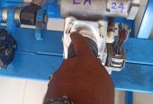 ABS Installation